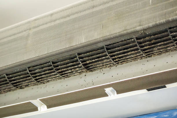 Best Air Vent Cleaning Services  in Coto De Za, CA